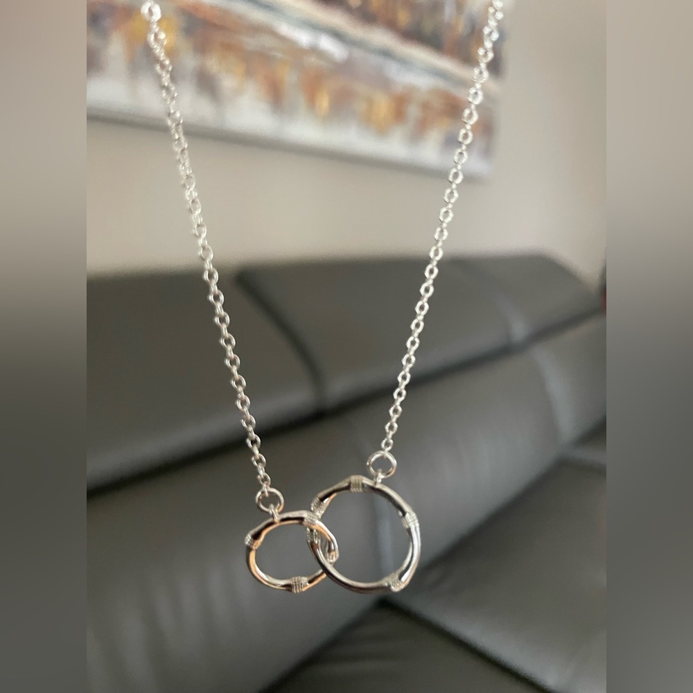 Elegant 18K white gold plated Silver Interlocking Circle Necklace